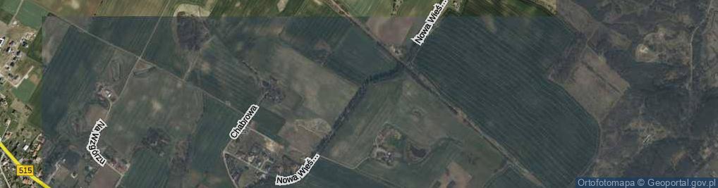 Zdjęcie satelitarne Nowa Wieś Malborska ul.